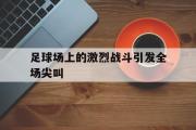 GOGO体育在线登入-足球场上的激烈战斗引发全场尖叫