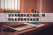 GOGO体育在线登入-沃尔夫斯堡队实力强劲，期待在本季表现不负众望
