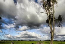 GOGO体育首页-莎拉波娃重返赛场，锐不可当首场状态出色，C9观众沸腾！