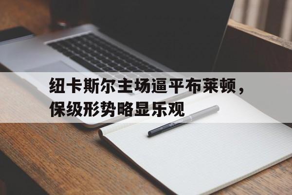 纽卡斯尔主场逼平布莱顿，保级形势略显乐观